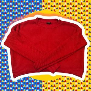 Red wild fable cropped sweater